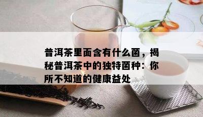 普洱茶里面含有什么菌，揭秘普洱茶中的独特菌种：你所不知道的健康益处