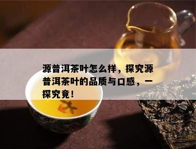 源普洱茶叶怎么样，探究源普洱茶叶的品质与口感，一探究竟！