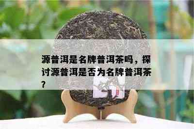 源普洱是名牌普洱茶吗，探讨源普洱是否为名牌普洱茶？