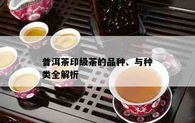 普洱茶印级茶的品种、与种类全解析