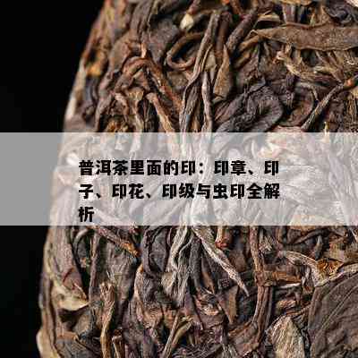 普洱茶里面的印：印章、印子、印花、印级与虫印全解析