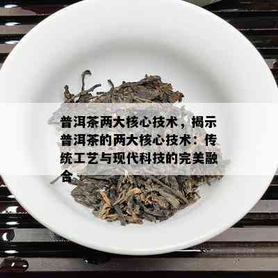 普洱茶两大核心技术，揭示普洱茶的两大核心技术：传统工艺与现代科技的完美融合