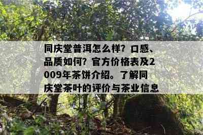 同庆堂普洱怎么样？口感、品质如何？官方价格表及2009年茶饼介绍。了解同庆堂茶叶的评价与茶业信息。