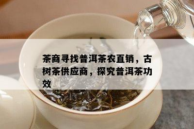 茶商寻找普洱茶农直销，古树茶供应商，探究普洱茶功效