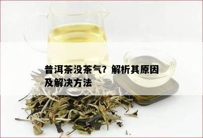 普洱茶没茶气？解析其原因及解决方法