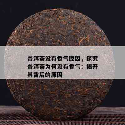 普洱茶没有香气原因，探究普洱茶为何没有香气：揭开其背后的原因