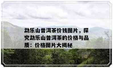 勐乐山普洱茶价钱图片，探究勐乐山普洱茶的价格与品质：价格图片大揭秘