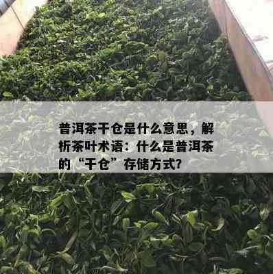 普洱茶干仓是什么意思，解析茶叶术语：什么是普洱茶的“干仓”存储方式？