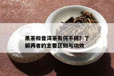 黑茶和普洱茶有何不同？了解两者的主要区别与功效