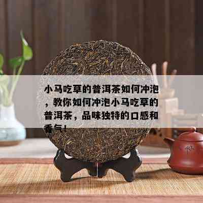 小马吃草的普洱茶如何冲泡，教你如何冲泡小马吃草的普洱茶，品味独特的口感和香气！