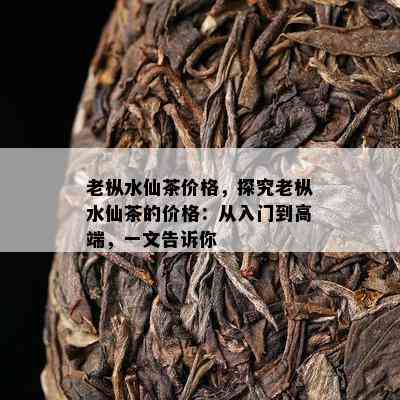 老枞水仙茶价格，探究老枞水仙茶的价格：从入门到高端，一文告诉你