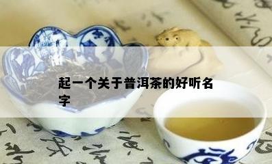 起一个关于普洱茶的好听名字