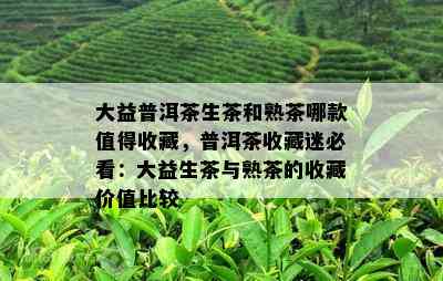 大益普洱茶生茶和熟茶哪款值得收藏，普洱茶收藏迷必看：大益生茶与熟茶的收藏价值比较