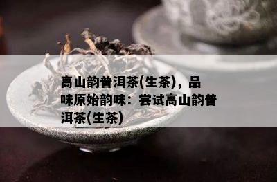 高山韵普洱茶(生茶)，品味原始韵味：尝试高山韵普洱茶(生茶)