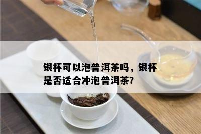 银杯可以泡普洱茶吗，银杯是否适合冲泡普洱茶？