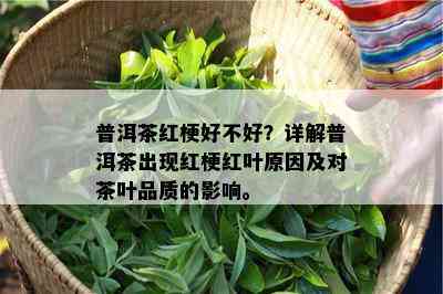 普洱茶红梗好不好？详解普洱茶出现红梗红叶原因及对茶叶品质的影响。