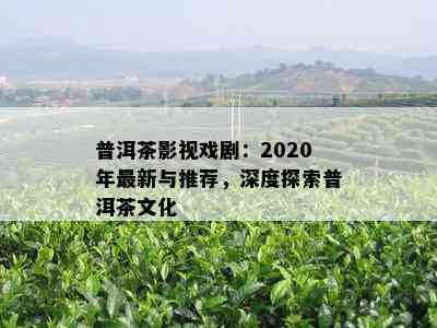 普洱茶影视戏剧：2020年最新与推荐，深度探索普洱茶文化