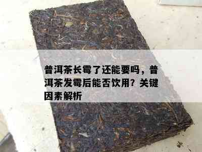 普洱茶长霉了还能要吗，普洱茶发霉后能否饮用？关键因素解析