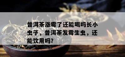 普洱茶涨霉了还能喝吗长小虫子，普洱茶发霉生虫，还能饮用吗？