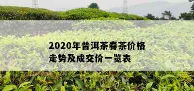 2020年普洱茶春茶价格走势及成交价一览表