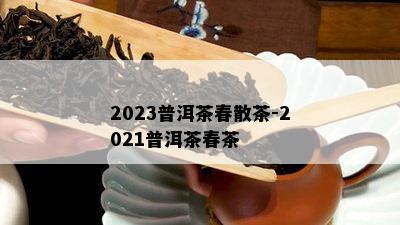 2023普洱茶春散茶-2021普洱茶春茶