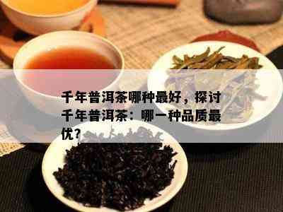 千年普洱茶哪种更好，探讨千年普洱茶：哪一种品质更优？