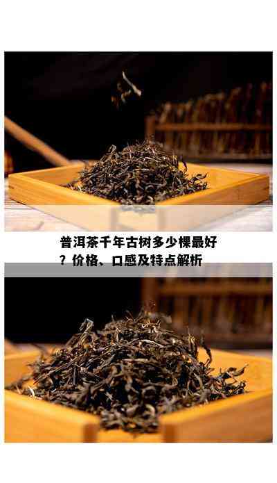 普洱茶千年古树多少棵更好？价格、口感及特点解析