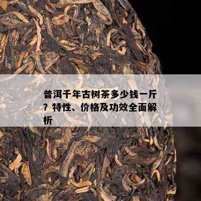 普洱千年古树茶多少钱一斤？特性、价格及功效全面解析