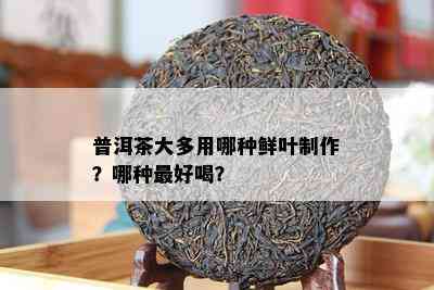 普洱茶大多用哪种鲜叶制作？哪种更好喝？