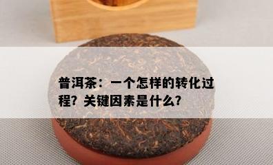 普洱茶：一个怎样的转化过程？关键因素是什么？