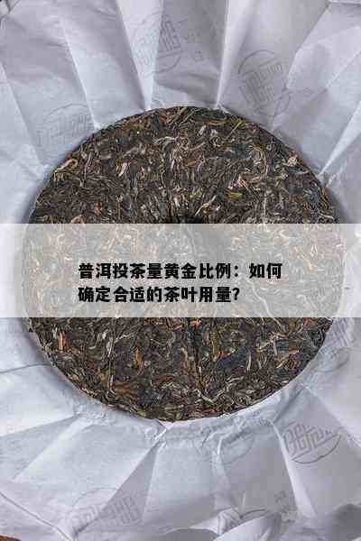 普洱投茶量黄金比例：如何确定合适的茶叶用量？