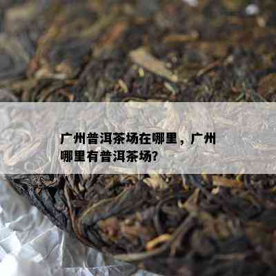 广州普洱茶场在哪里，广州哪里有普洱茶场？