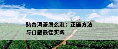 熟普洱茶怎么泡：正确方法与口感更佳实践