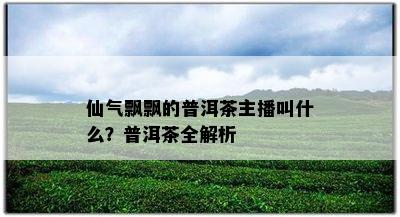 仙气飘飘的普洱茶主播叫什么？普洱茶全解析