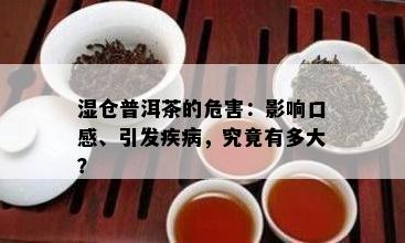 湿仓普洱茶的危害：影响口感、引发疾病，究竟有多大？