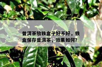 普洱茶放铁盒子好不好，铁盒保存普洱茶，效果如何？