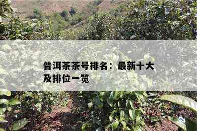 普洱茶茶号排名：最新十大及排位一览