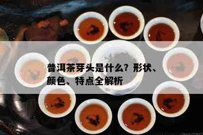 普洱茶芽头是什么？形状、颜色、特点全解析