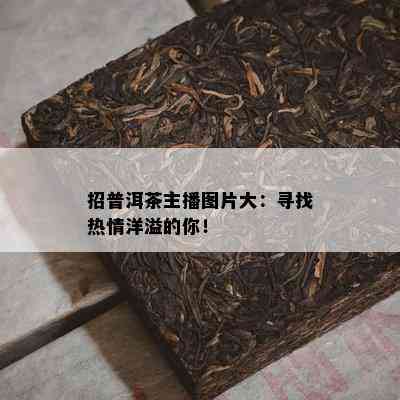 招普洱茶主播图片大：寻找热情洋溢的你！