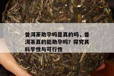 普洱茶助孕吗是真的吗，普洱茶真的能助孕吗？探究其科学性与可行性