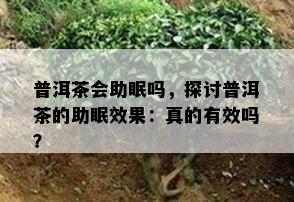 普洱茶会助眠吗，探讨普洱茶的助眠效果：真的有效吗？