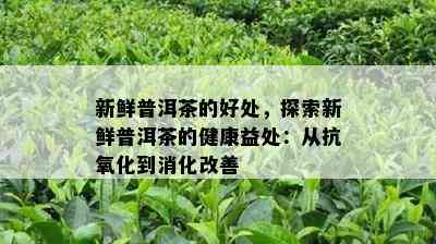 新鲜普洱茶的好处，探索新鲜普洱茶的健康益处：从抗氧化到消化改善