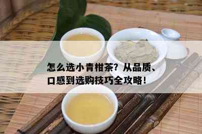 怎么选小青柑茶？从品质、口感到选购技巧全攻略！