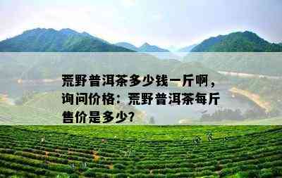 荒野普洱茶多少钱一斤啊，询问价格：荒野普洱茶每斤售价是多少？