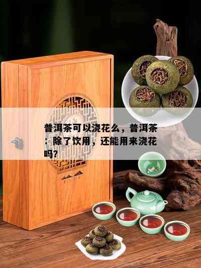 普洱茶可以浇花么，普洱茶：除了饮用，还能用来浇花吗？