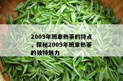 2009年班章熟茶的特点，探秘2009年班章熟茶的独特魅力