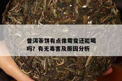 普洱茶饼有点像霉变还能喝吗？有无害及原因分析