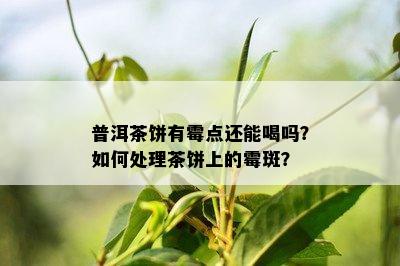 普洱茶饼有霉点还能喝吗？如何处理茶饼上的霉斑？