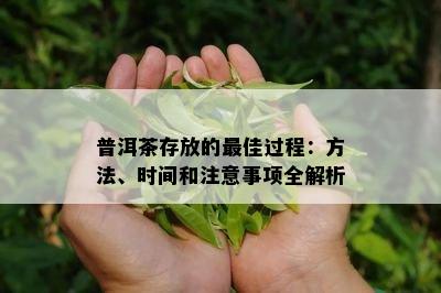 普洱茶存放的更佳过程：方法、时间和注意事项全解析