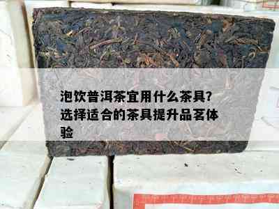 泡饮普洱茶宜用什么茶具？选择适合的茶具提升品茗体验